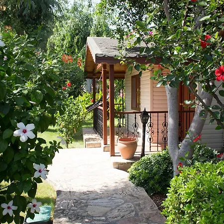 Surf Tatil Koyu Holiday park