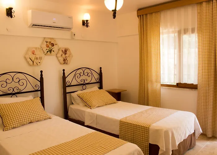 Surf Tatil Koyu Semesterpark *