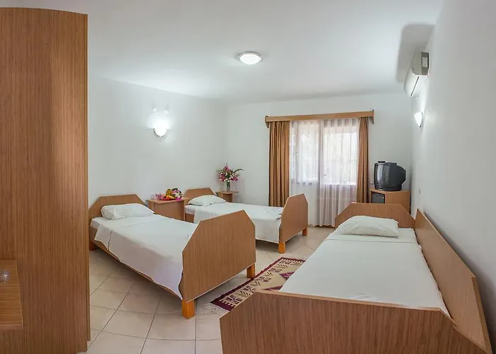 Surf Tatil Koyu Holiday park