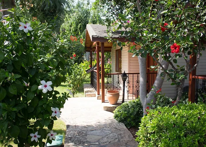 Surf Tatil Koyu Holiday park