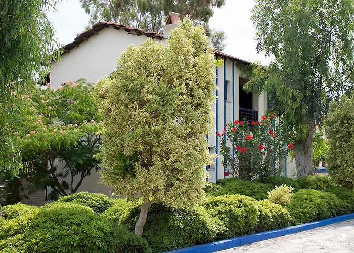 Surf Tatil Koyu Datca